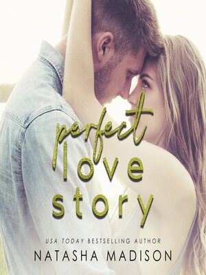 cover image of Perfect Love Story